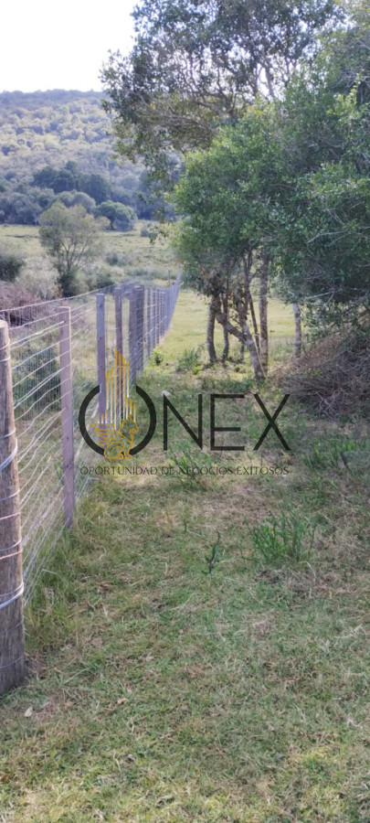 Campo Ref.3606 - Espectacular chacra 