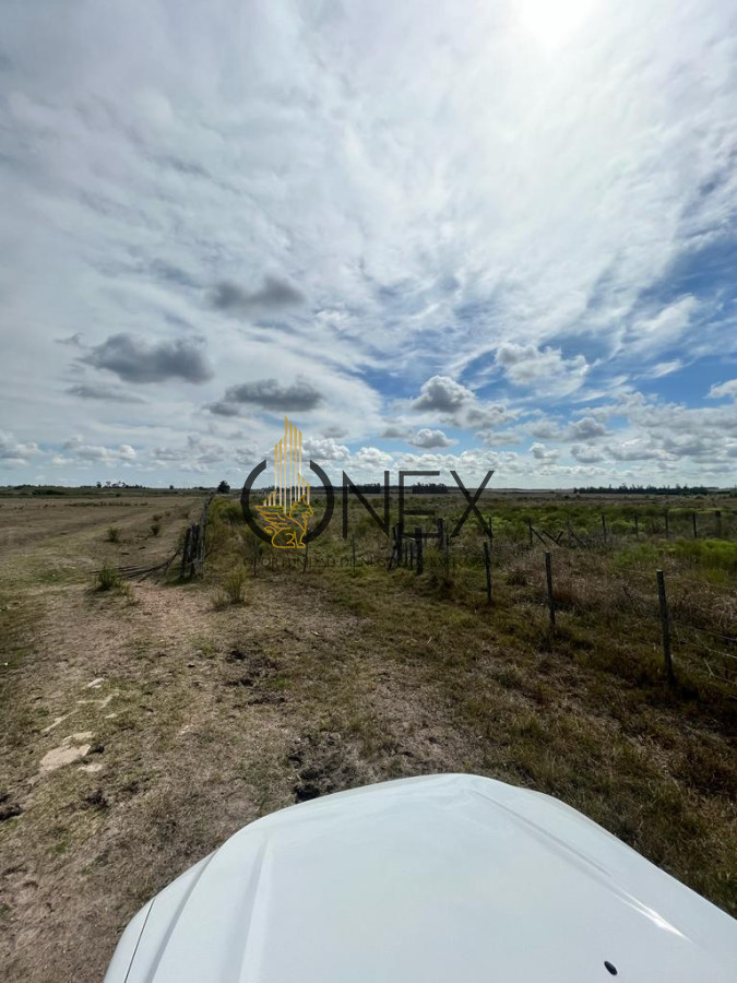 Campo Ref.2937 - VENTA DE CAMPO EN SAUCE, CANELONES 