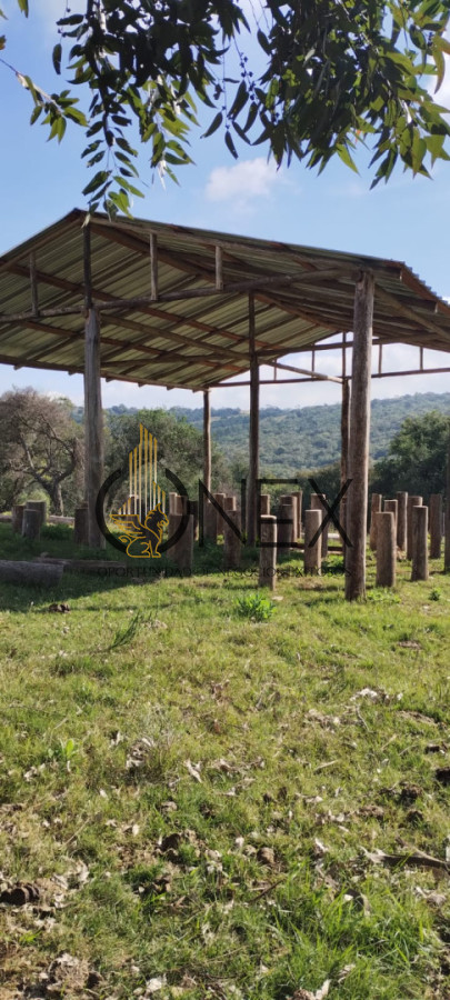 Campo Ref.3606 - Espectacular chacra 