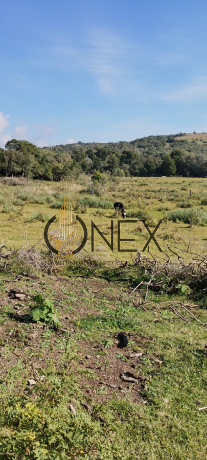 Campo Ref.3606 - Espectacular chacra 