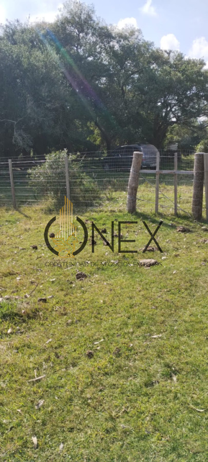 Campo Ref.3606 - Espectacular chacra 