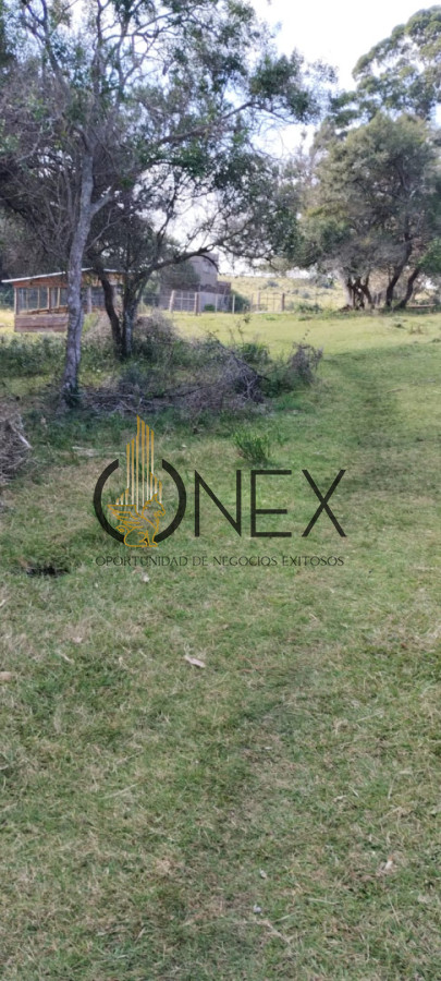 Campo Ref.3606 - Espectacular chacra 