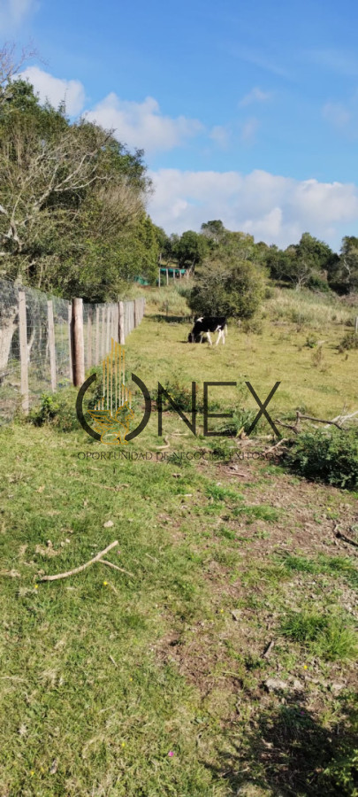 Campo Ref.3606 - Espectacular chacra 