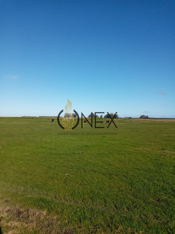 Campo Ref.3234 - Campo el caracol Rocha