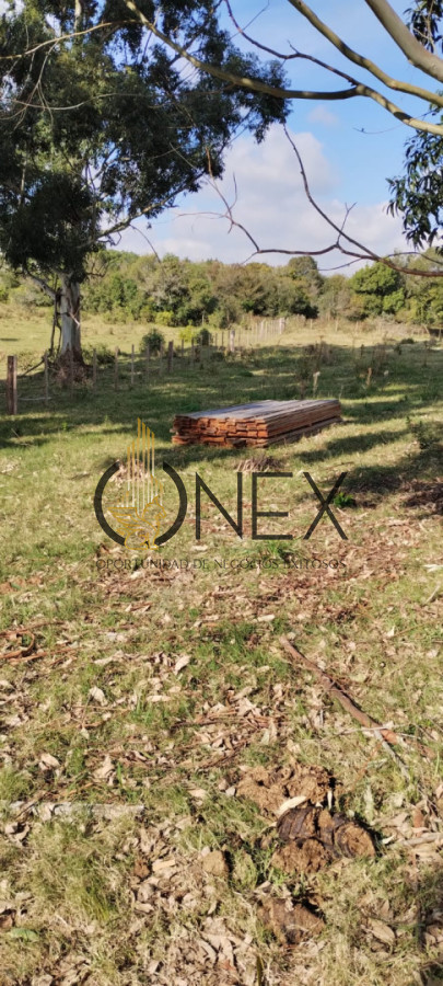 Campo Ref.3606 - Espectacular chacra 