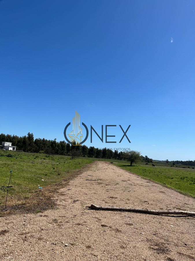 Campo Ref.2937 - VENTA DE CAMPO EN SAUCE, CANELONES 