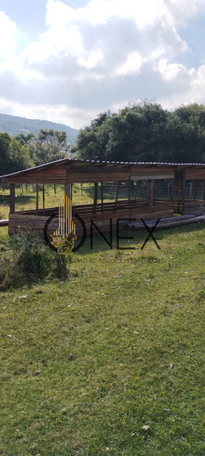 Campo Ref.3606 - Espectacular chacra 