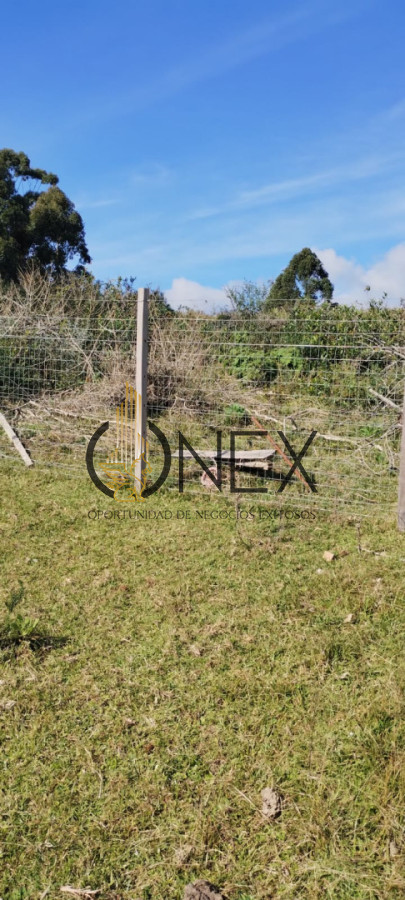 Campo Ref.3606 - Espectacular chacra 