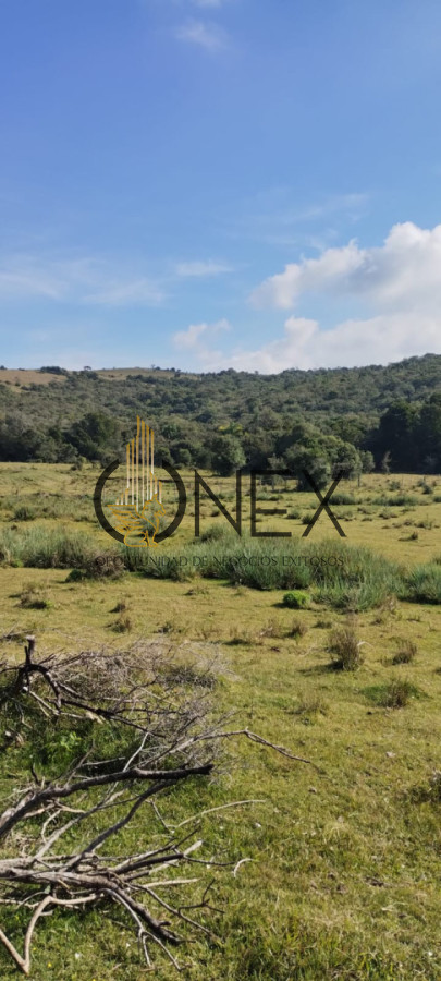 Campo Ref.3606 - Espectacular chacra 