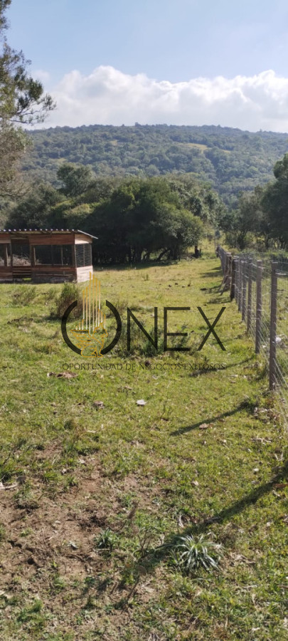 Campo Ref.3606 - Espectacular chacra 