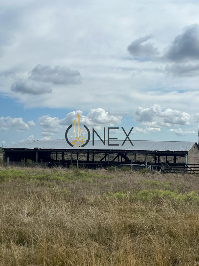 Campo Ref.2937 - VENTA DE CAMPO EN SAUCE, CANELONES 