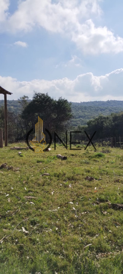 Campo Ref.3606 - Espectacular chacra 