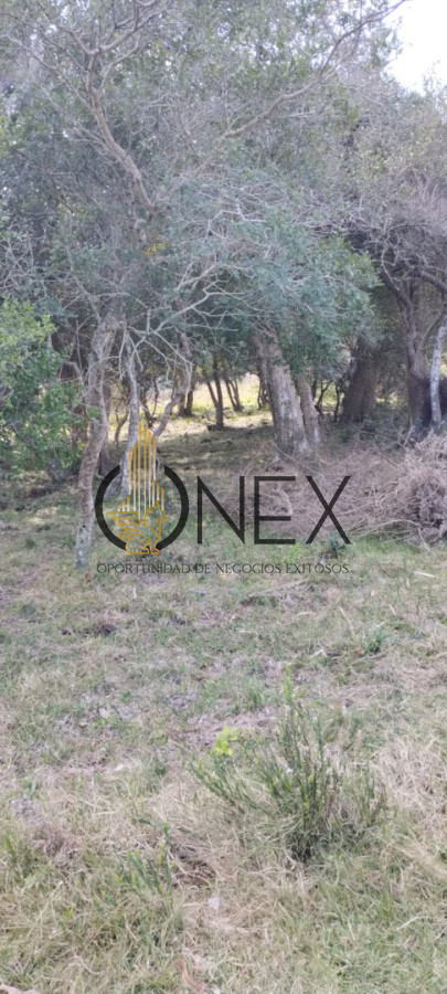 Campo Ref.3606 - Espectacular chacra 