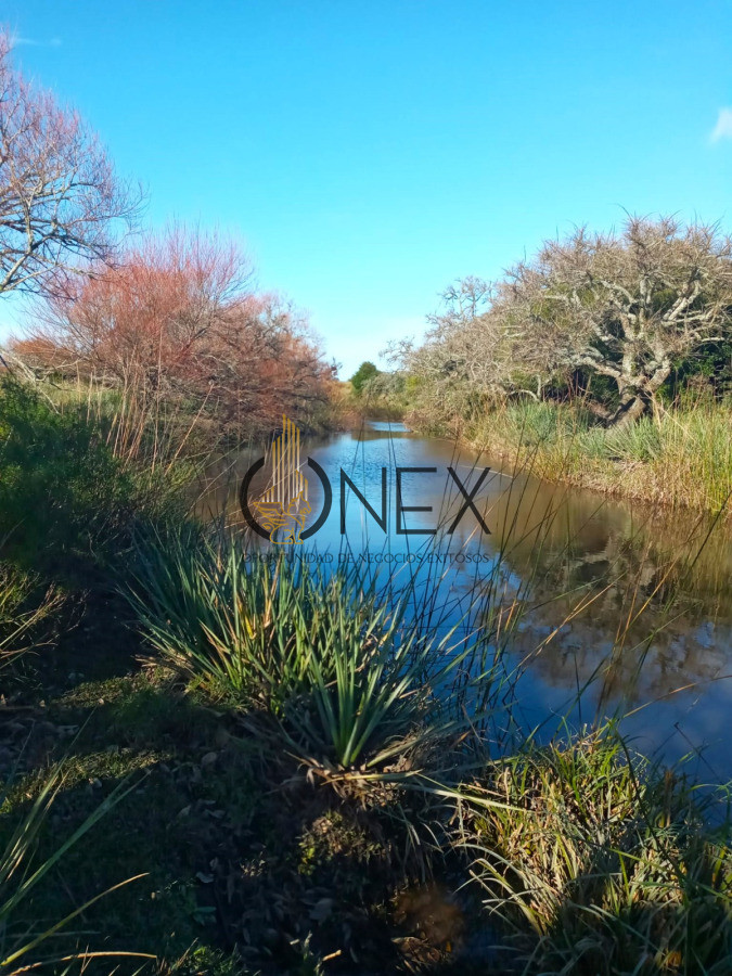 Campo Ref.3234 - Campo el caracol Rocha