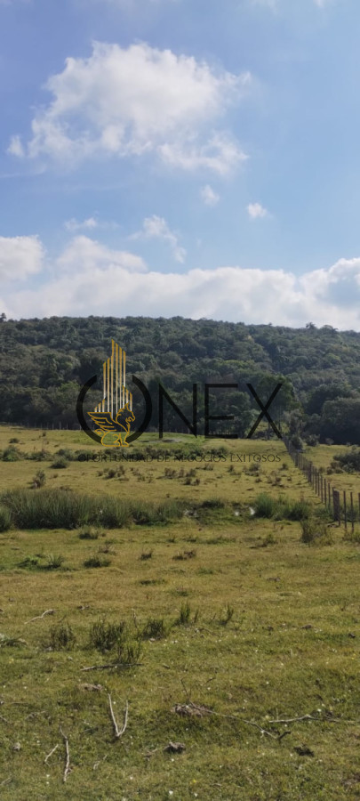 Campo Ref.3606 - Espectacular chacra 