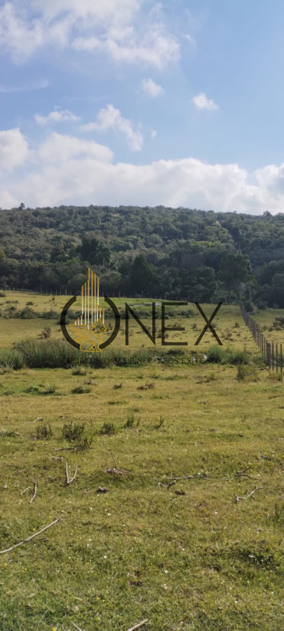 Campo Ref.3606 - Espectacular chacra 