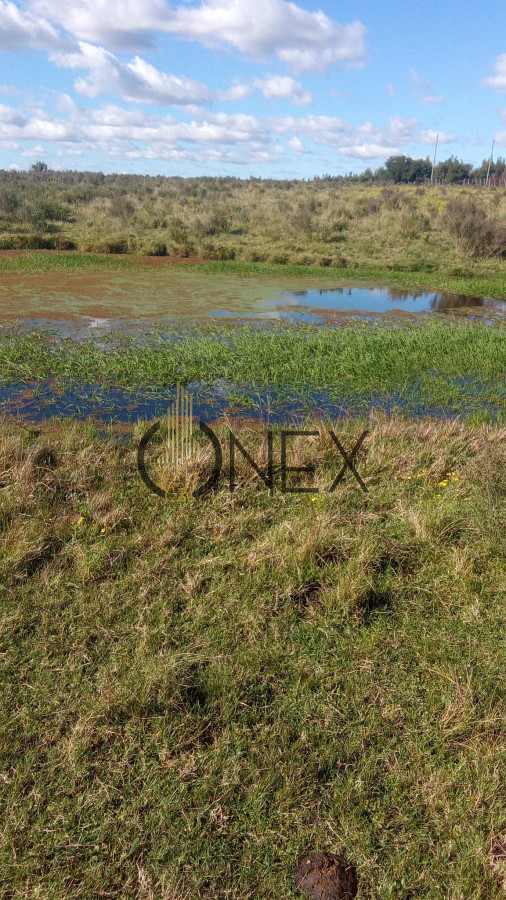 Campo Ref.2341 - Venta campo 29 hectareas a 4 km de San Carlos
