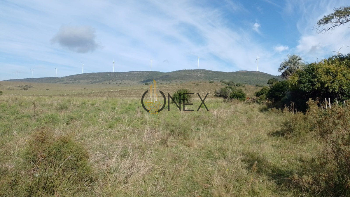 Campo Ref.2377 - Venta de Chacras de 5 y 6 Ha en Caracoles