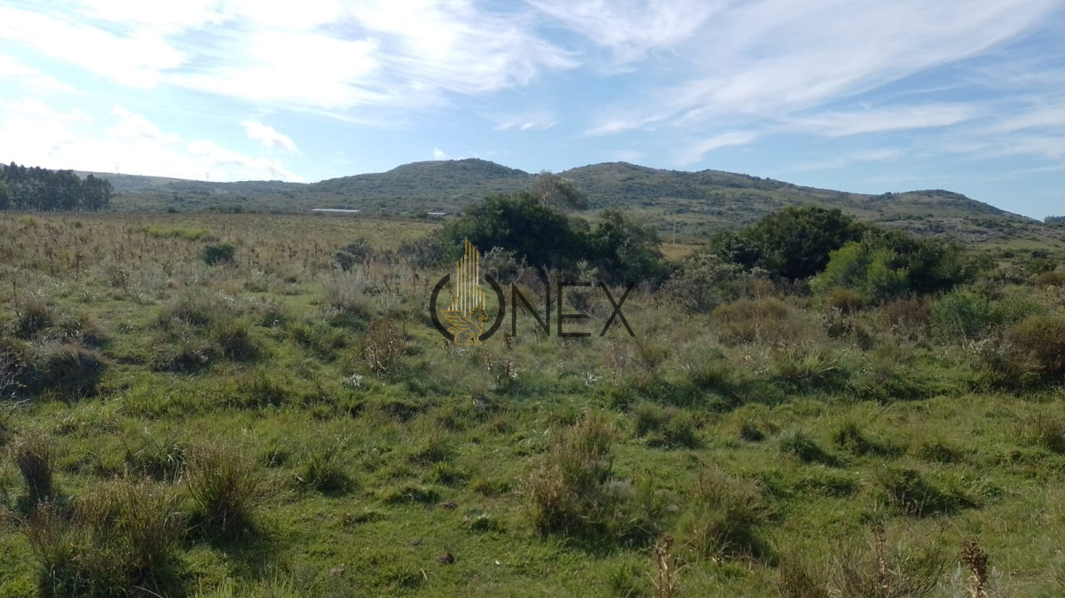Campo Ref.2377 - Venta de Chacras de 5 y 6 Ha en Caracoles