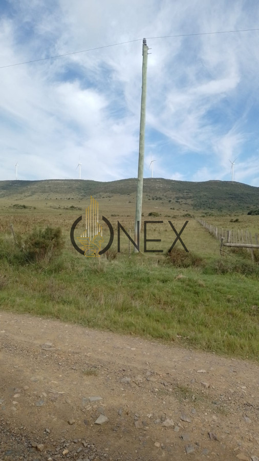 Campo Ref.2377 - Venta de Chacras de 5 y 6 Ha en Caracoles
