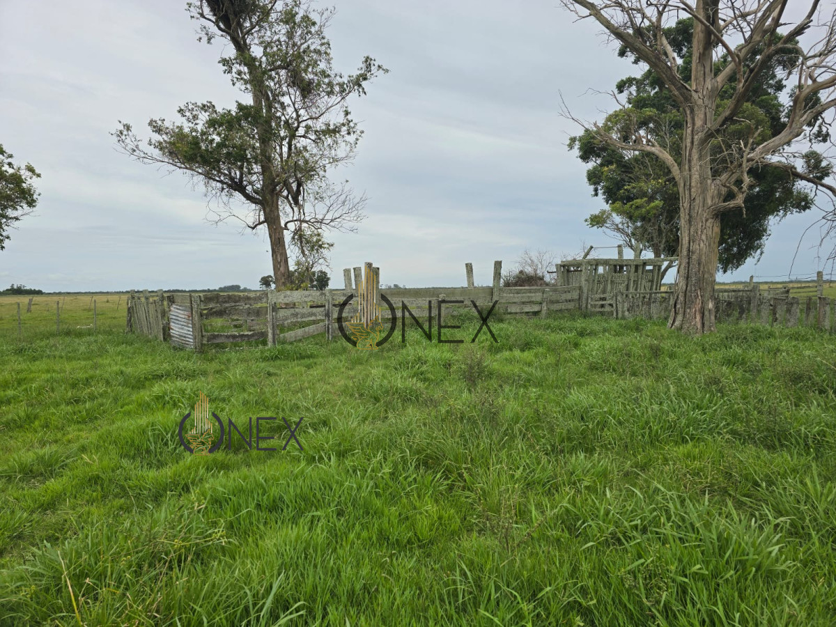 Campo Ref.1782 - Campo en Rural, 