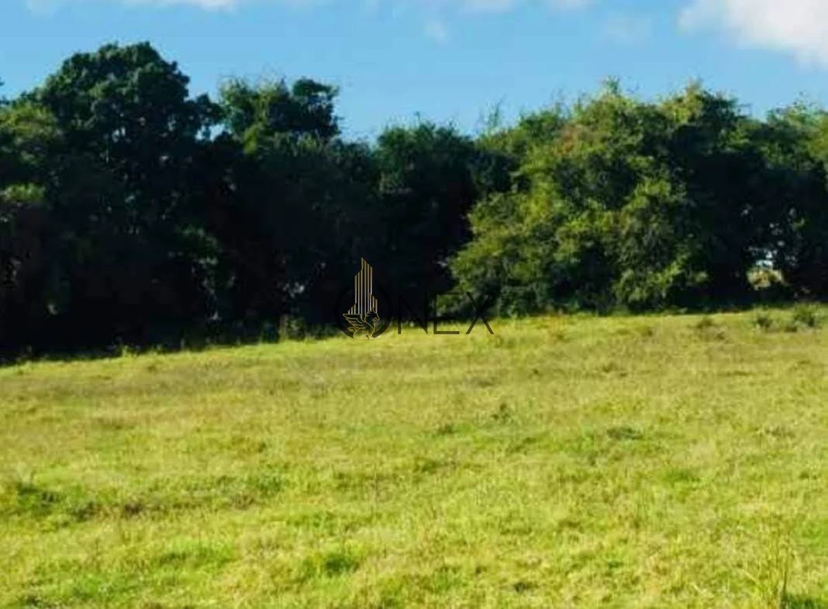 Campo Ref.2557 - Campo en Otra, 