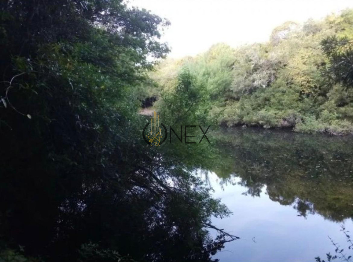 Campo Ref.1116 - Se vende campo en Maldonado 35has