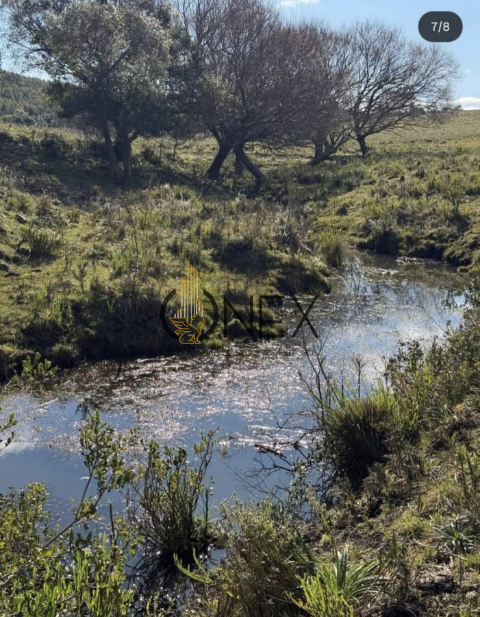 Campo Ref.3811 - Venta Campo de 26Ha con casa en Minas