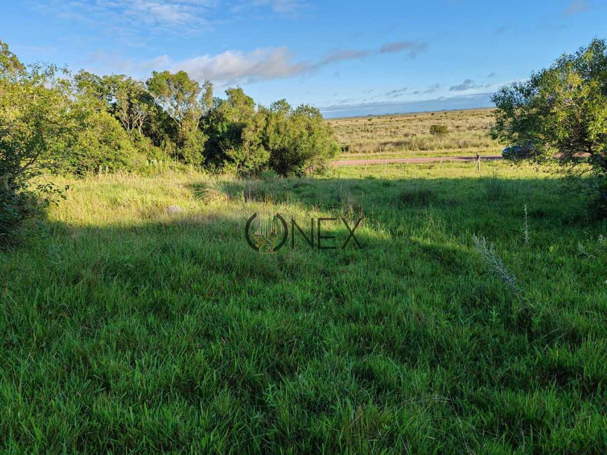 Campo Ref.3316 - Campo en Sierras de San Miguel Rocha 