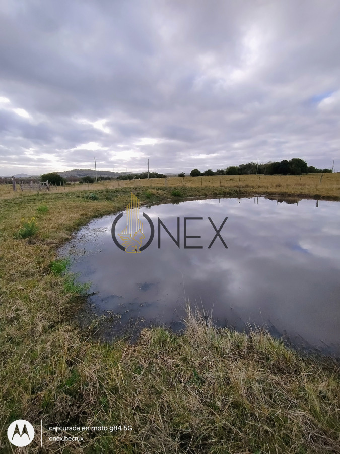 Campo Ref.2502 - Campo en Zona Rural, 