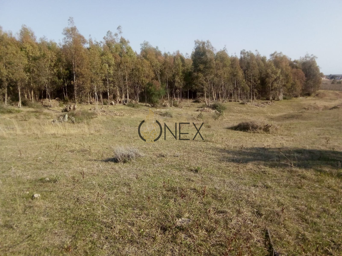 Campo Ref.1652 - 8 HECTAREAS EN VENTA CIUDAD DE GUICHON PAYSANDU
