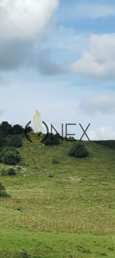 Campo Ref.2999 - Venta de campo de 26 Has en la Coronilla