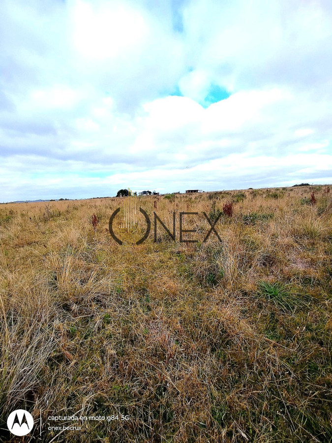 Campo Ref.2502 - Campo en Zona Rural, 