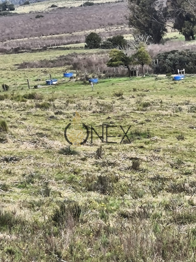 Campo Ref.2890 - Venta de campo de 34 Has en Pan de Azucar