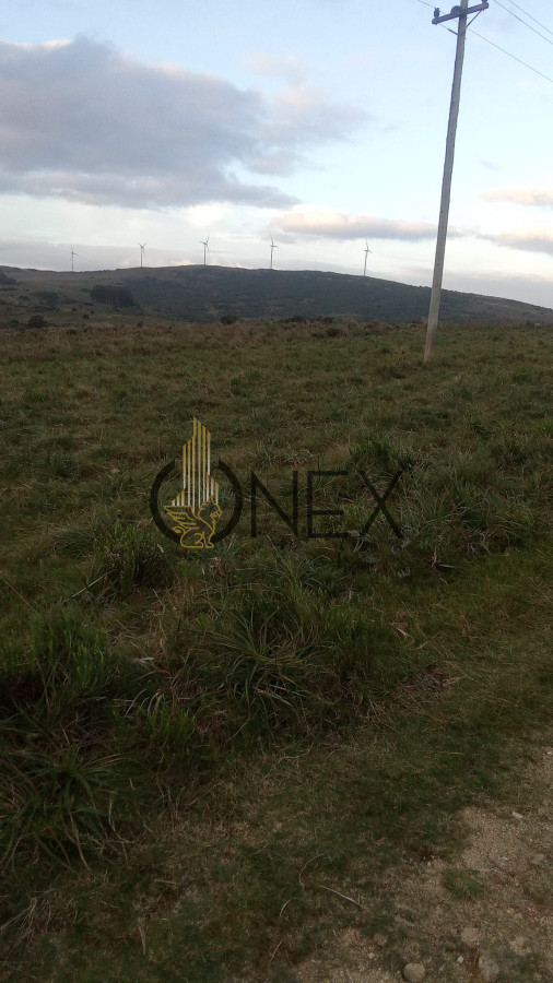 Campo Ref.3106 - Venta de Campo 600Ha en Carape con casas