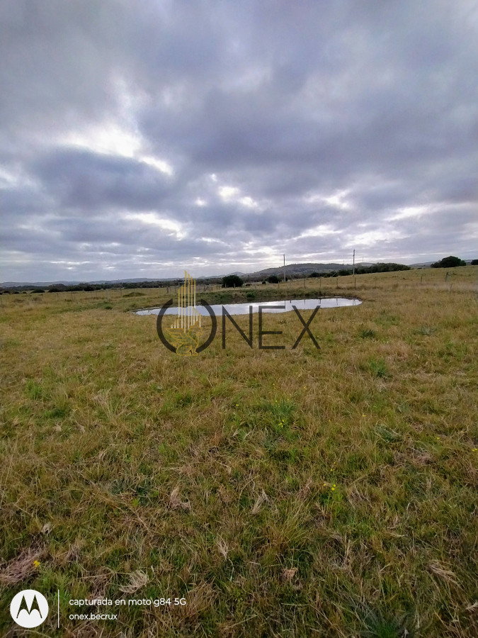 Campo Ref.2502 - Campo en Zona Rural, 