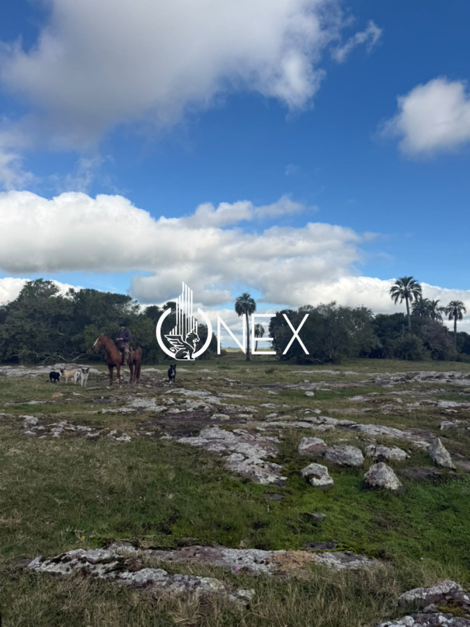 Campo Ref.4620 - Se vende en Corral de Palma 