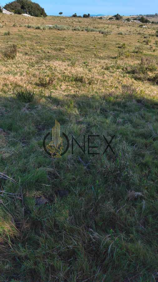 Campo Ref.2600 - Venta de campo 133 Ha Maldonado