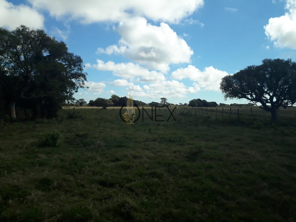 Campo Ref.2557 - Campo en Otra, 