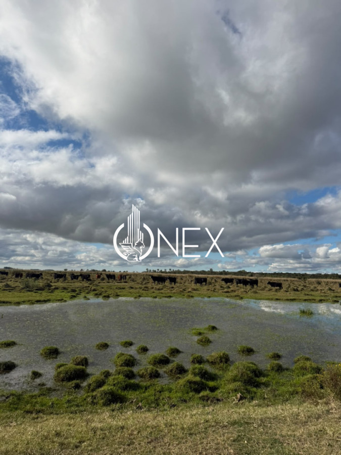 Campo Ref.4620 - Se vende en Corral de Palma 