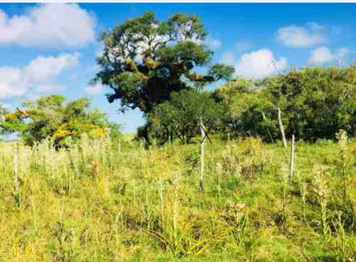 Campo Ref.2557 - Campo en Otra, 