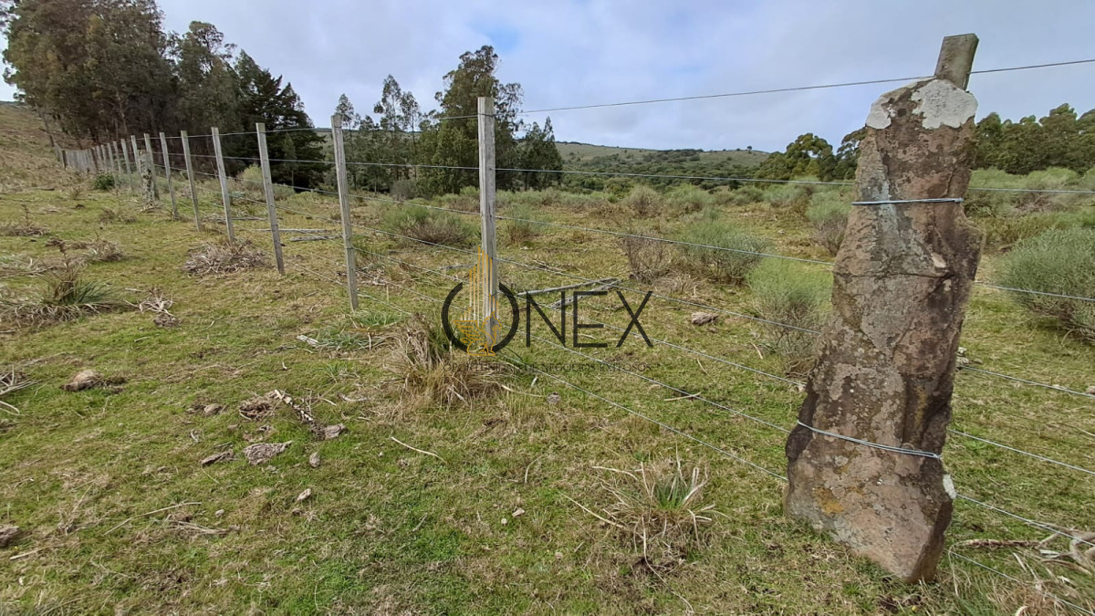 Campo Ref.3811 - Venta Campo de 26Ha con casa en Minas