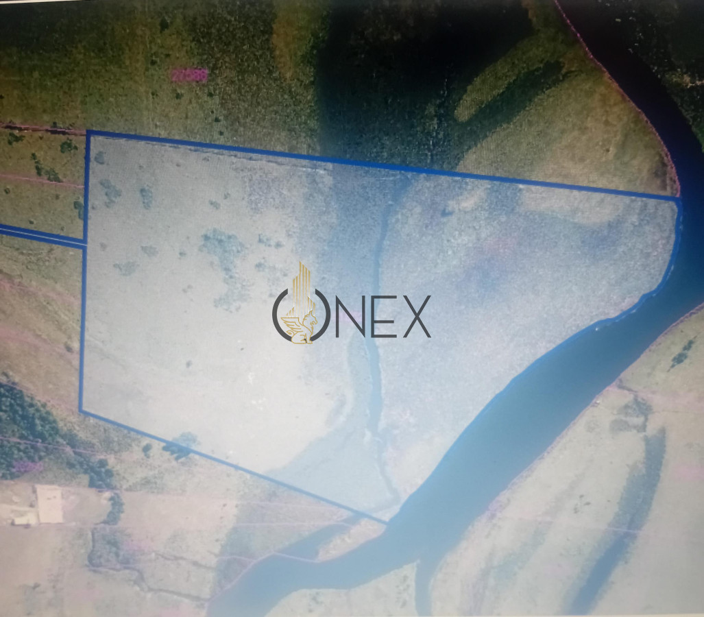 Campo Ref.3076 - Venta campo 37 Ha en San Carlos
