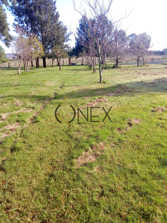 Campo Ref.2350 - venta de campo de 15Ha en Partido Norte con casa
