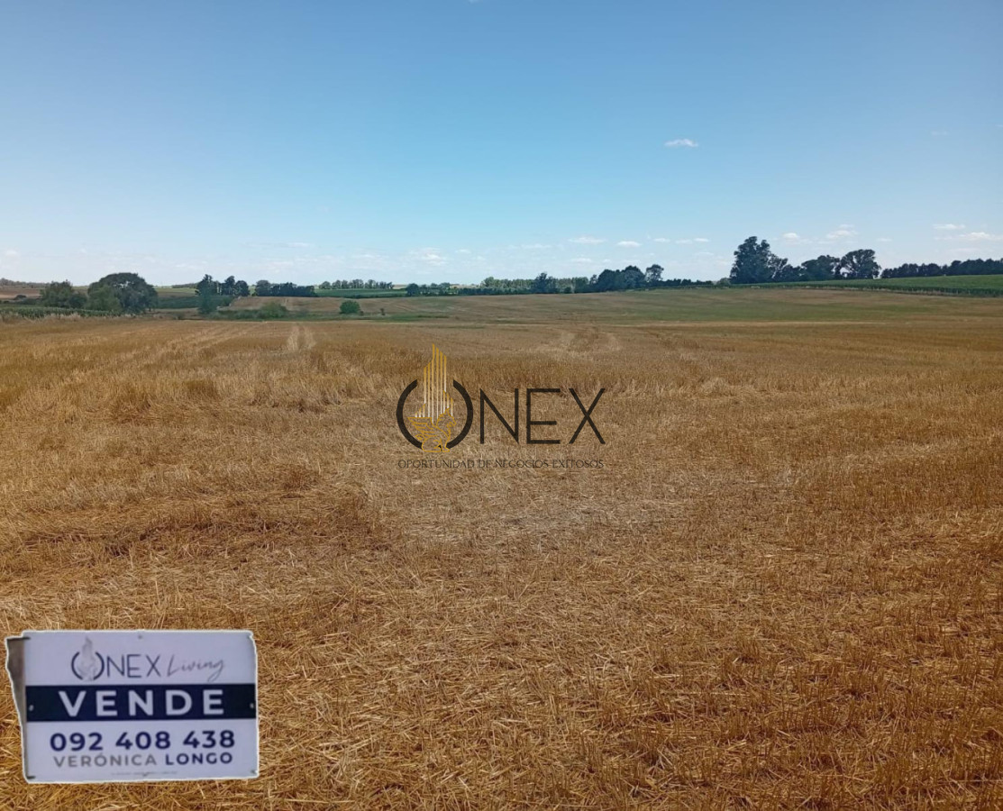 Campo Ref.3804 - 23 HECT. EN COLONIA AGRICOLA/GANADERO 