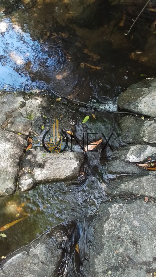 Campo Ref.3598 - Se vende excelente parcela de 6,85 has a 17 min de Jose Ignacio, sobre Ruta 9 km 155