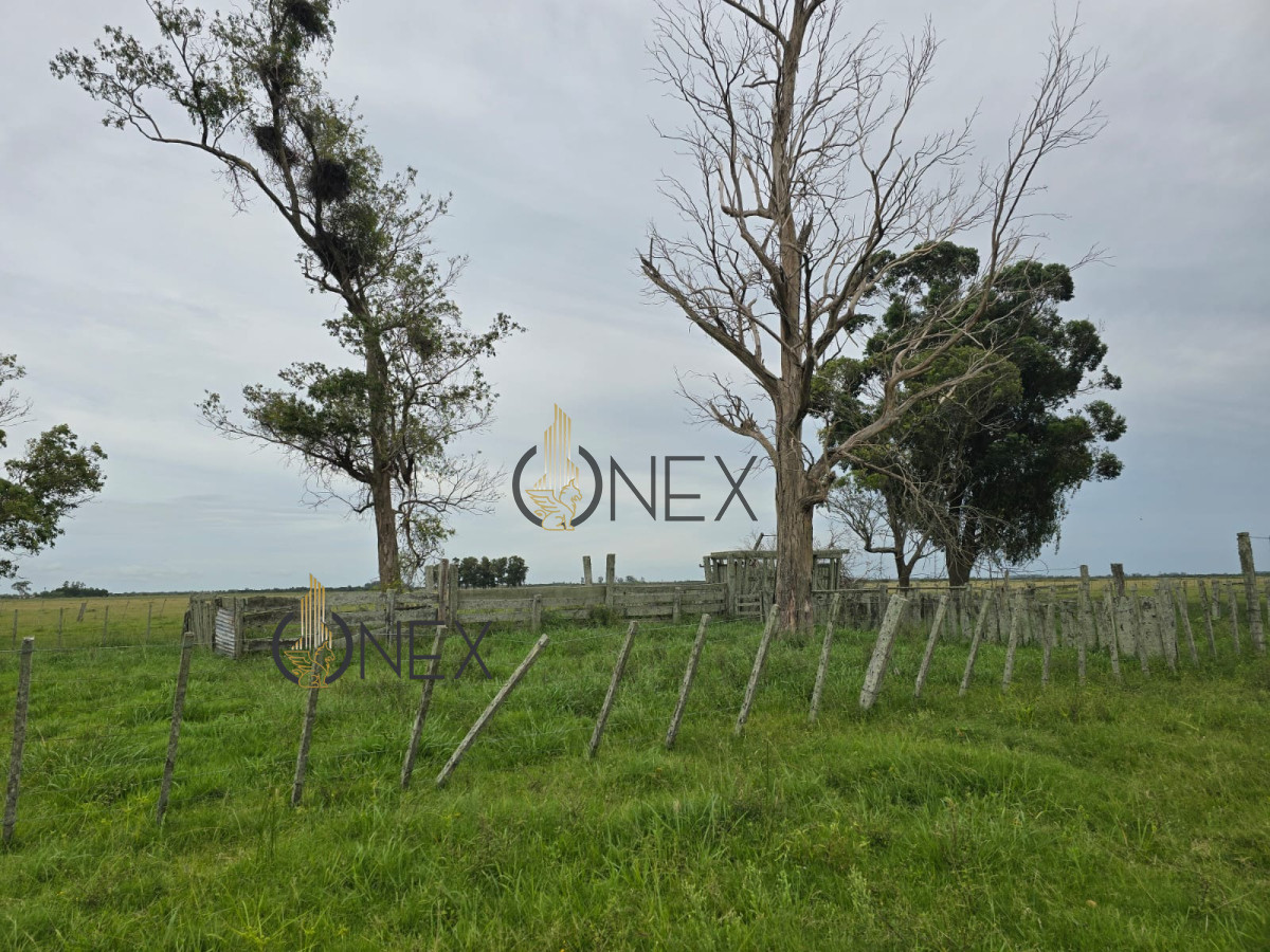 Campo Ref.1782 - Campo en Rural, 