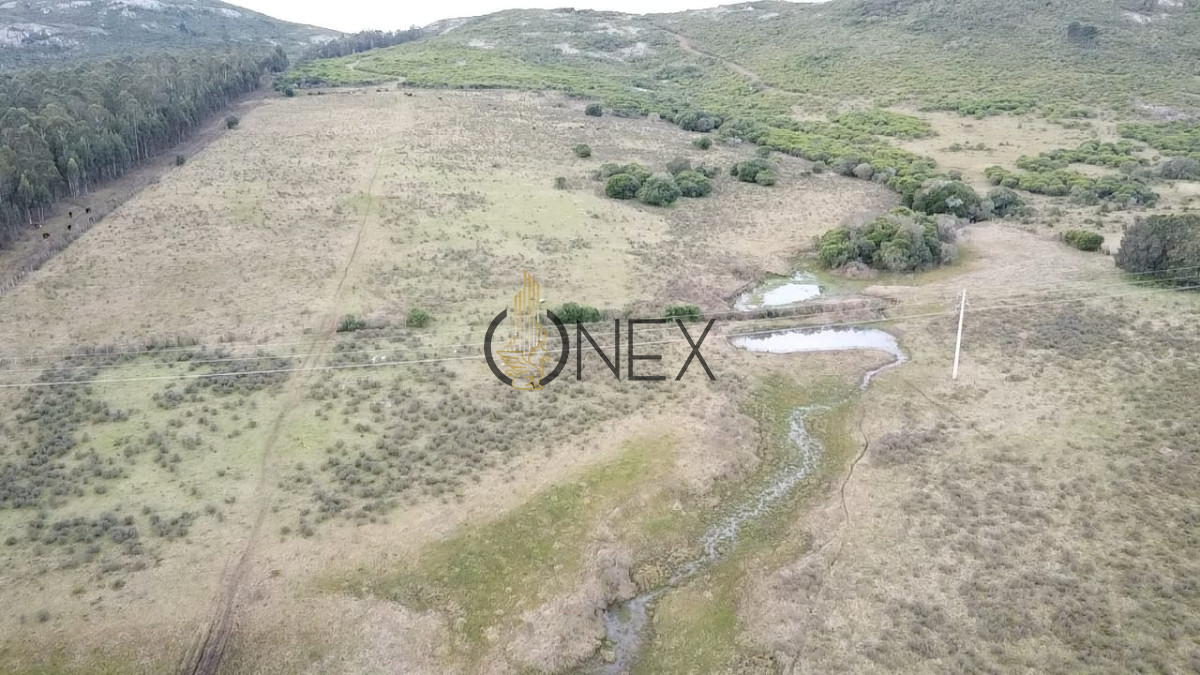 Campo Ref.2894 - Venta de Campo de 25 Ha en 