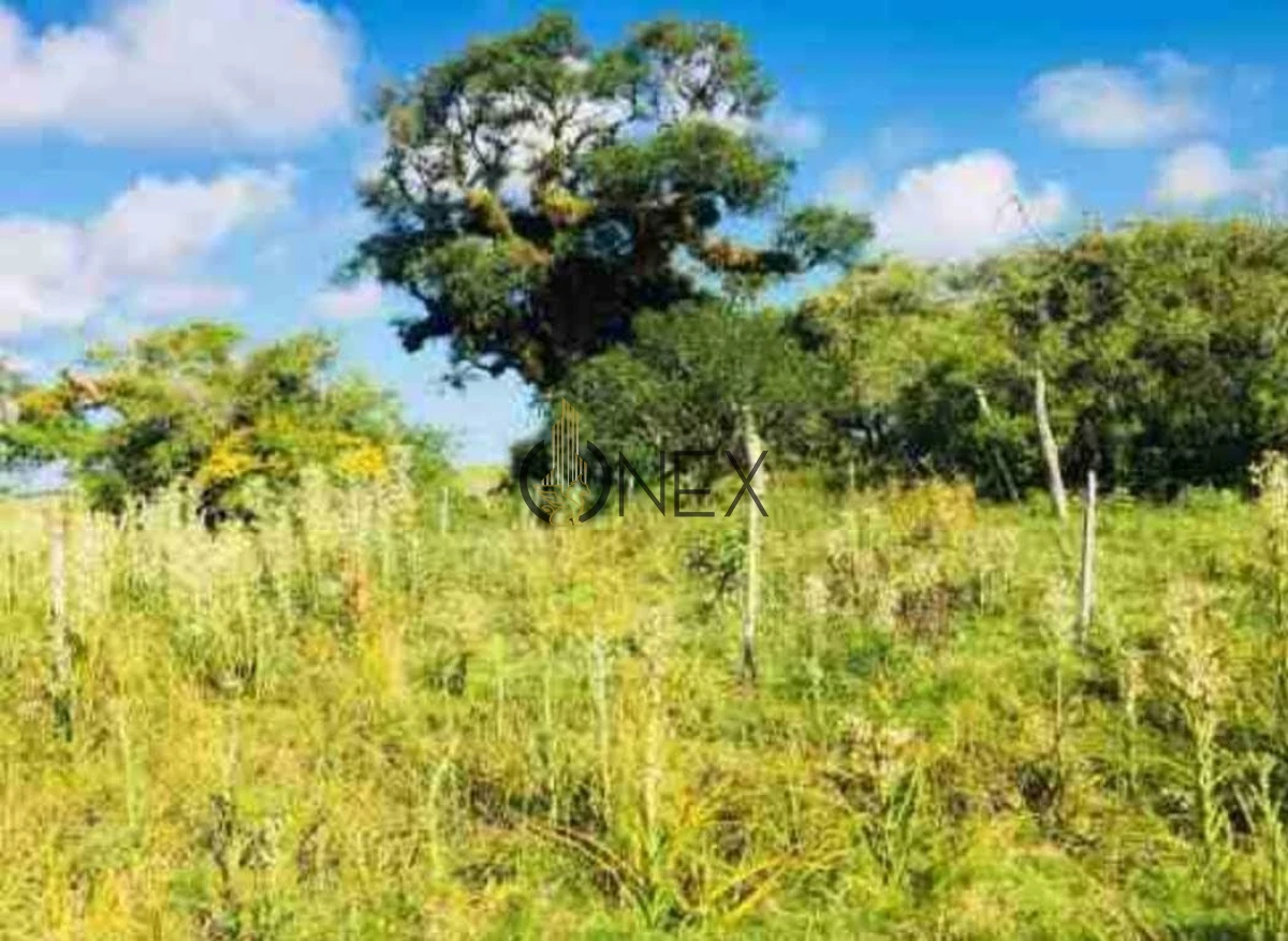 Campo Ref.2557 - Campo en Otra, 