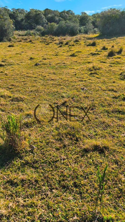 Campo Ref.2600 - Venta de campo 133 Ha Maldonado
